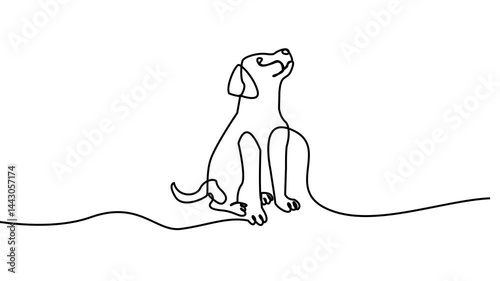 The dog Continuous line art Animation. Animated Video of pet animals. 