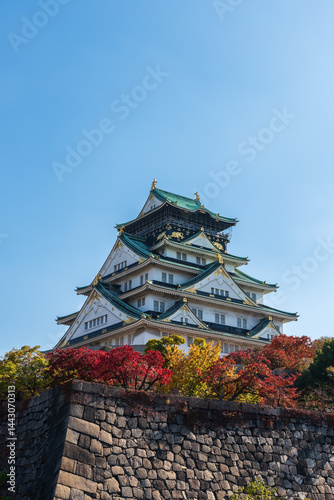 Osaka castle in autumn with autumn leaves and blue sky background in Osaka city Japan.