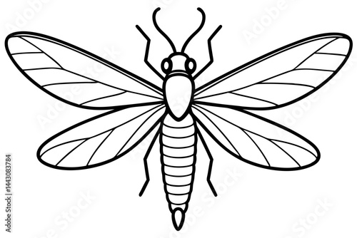 Mayfly Vector Illustration