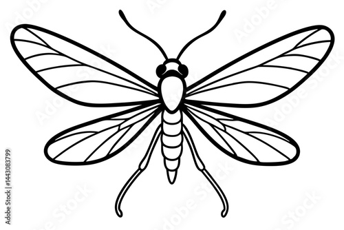 Mayfly Vector Illustration