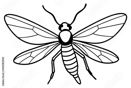 Mayfly Vector Illustration