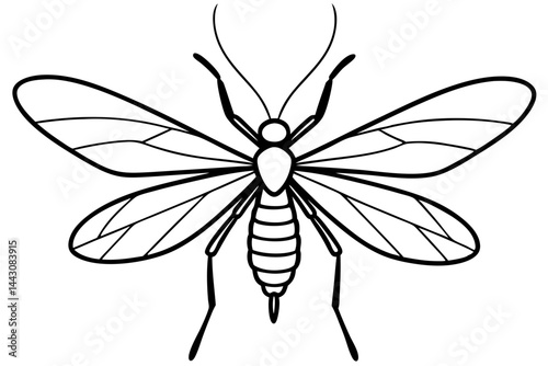 Mayfly Vector Illustration