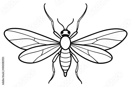 Mayfly Vector Illustration
