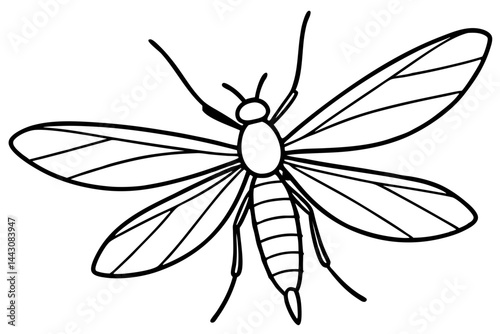 Mayfly Vector Illustration