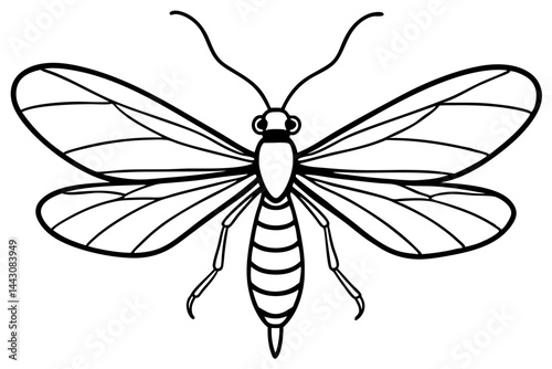 Mayfly Vector Illustration
