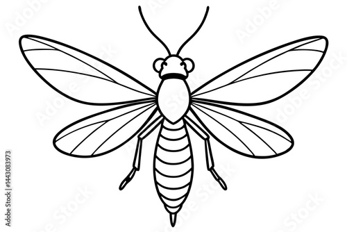 Mayfly Vector Illustration