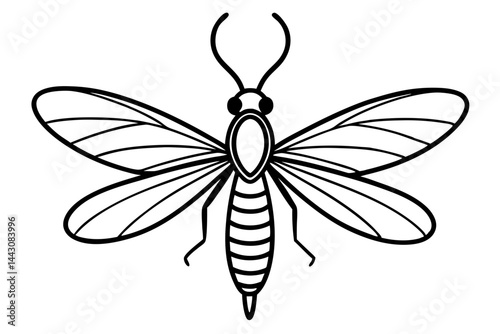 Mayfly Vector Illustration