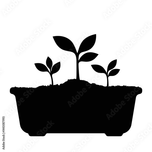 Seeds sprouting in soil inside greenhouse tray, agribusiness growth