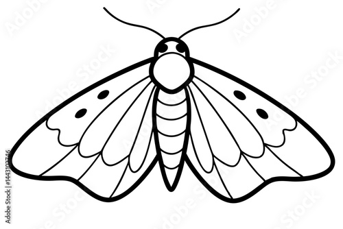 Opal Wings Illustration