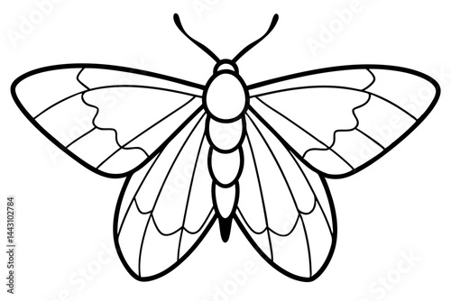 Opal Wings Illustration