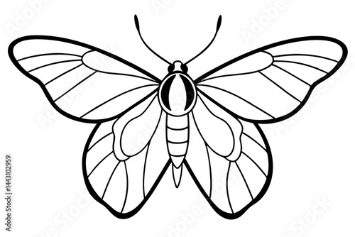 Opal Wings Illustration