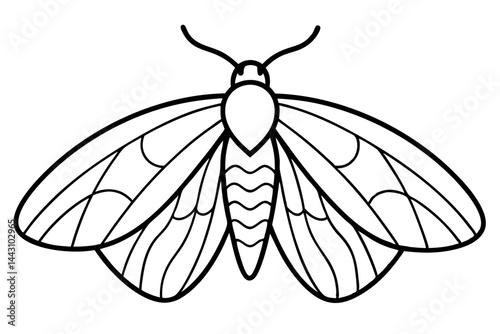 Opal Wings Illustration