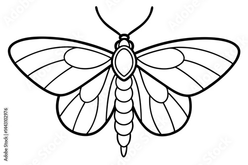 Opal Wings Illustration