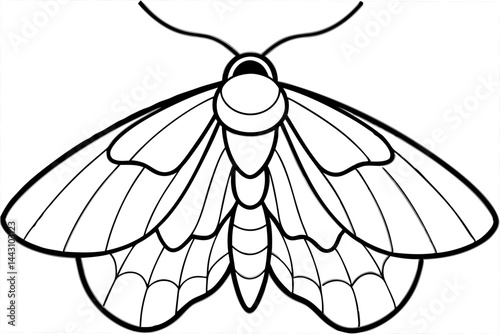 Opal Wings Illustration