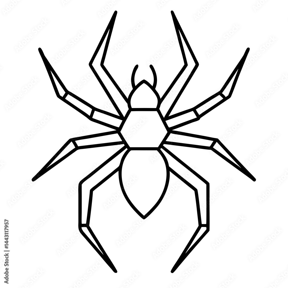 Obraz premium Clean Line Art Wolf Spider Vector