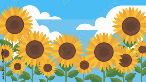 A cheerful vector illustration depicting a field of bright yellow sunflowers under a clear blue sky with fluffy white clouds. Perfect for summer themes, nature designs, and floral background...