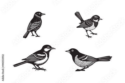 Wallpaper Mural Vintage Bird Illustration Set Hand-Drawn Songbirds Silhouette Clipart Icons Torontodigital.ca