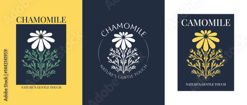 Vector logo of chamomile flower. Modern hand drawn vector daisy icons. Branding concept idea for herbal medicine, essential oil brand identity, herbal tea wellness, and beauty products