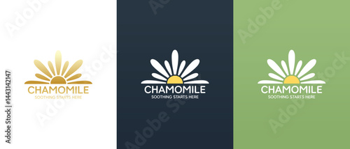 Vector logo of daisy flower. Branding concept idea for herbal medicine, essential oil brand identity, herbal tea wellness, beauty products