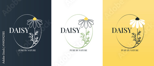 Vector logo of chamomile flower. Modern hand drawn vector daisy icons. Branding concept idea for herbal medicine, essential oil brand identity, herbal tea wellness, and beauty products