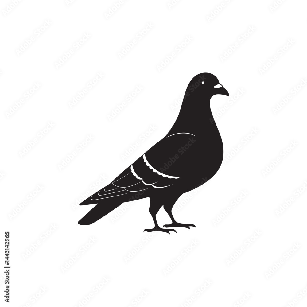 Fototapeta premium Silhouette Pigeon Vector Illustration, Black Silhouette Pigeon