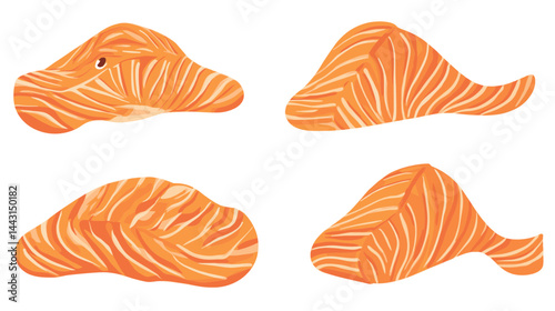 Four Views Of An Orange Salmon Fillet On White Background