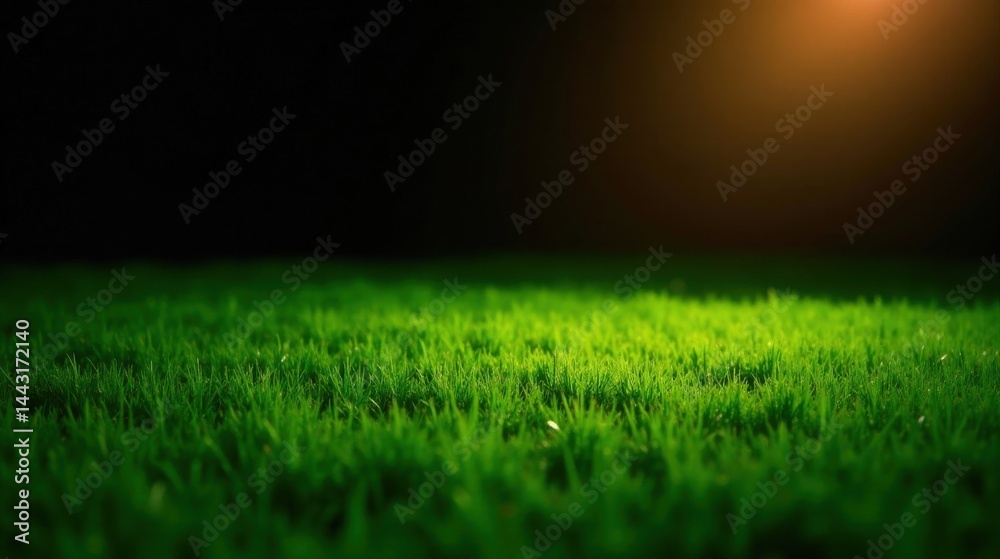 Naklejka premium Lush Green Grass Illuminated by Warm Light, a Vibrant Natural Texture for Design Projects