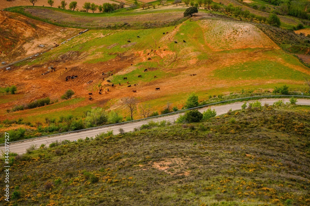 Fototapeta premium Tierras y campos de cultivo en la provincia de Guadalajara, España.