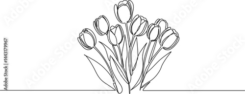 continuous single line drawing of tulips, line art vector illustration