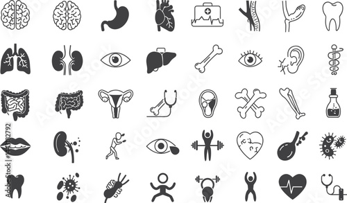 Human organ, anatomy icon set. Vector glyph pictograms of brain, heart, lungs, liver, stomach, intestine, kidney medical, healthcare, and biology