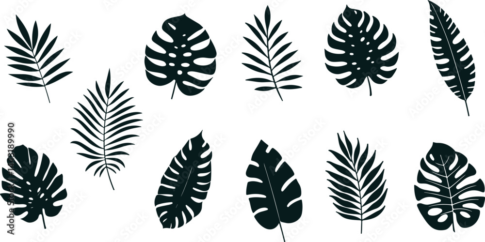 Obraz premium Tropical leaves silhouettes collection