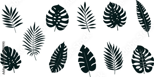 Tropical leaves silhouettes collection