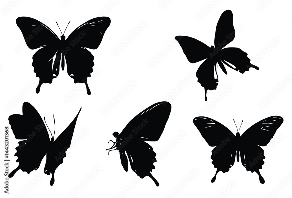 Set of butterfly silhouette Set of butterfly silhouette