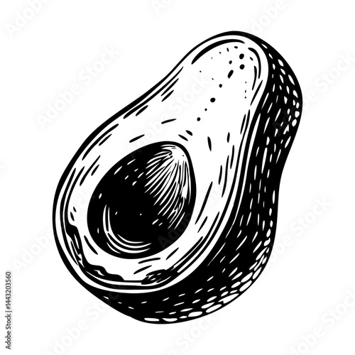 A vintage style illustration of avocado