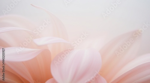 Soft Pink Flower Petals