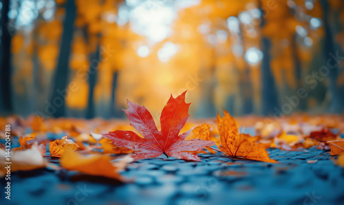 Vibrant autumn leaves on forest floor showcasing fall colors and serene atmosphere.