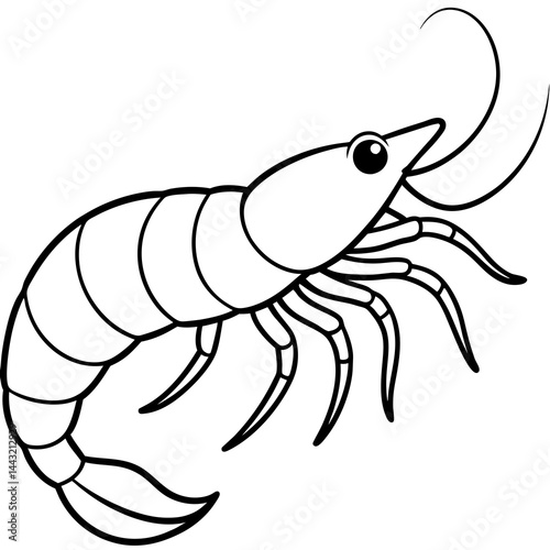 Single Line Shrimp Vector Illustration
