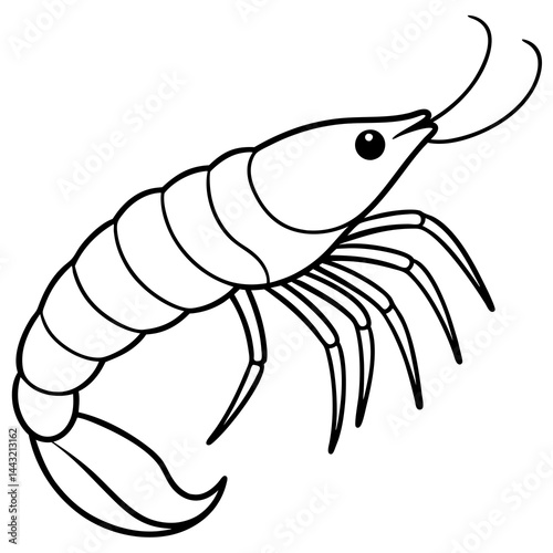 Single Line Shrimp Vector Illustration