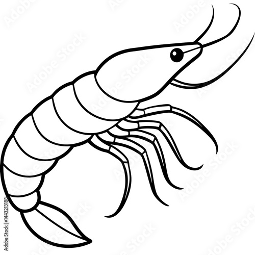 Single Line Shrimp Vector Illustration