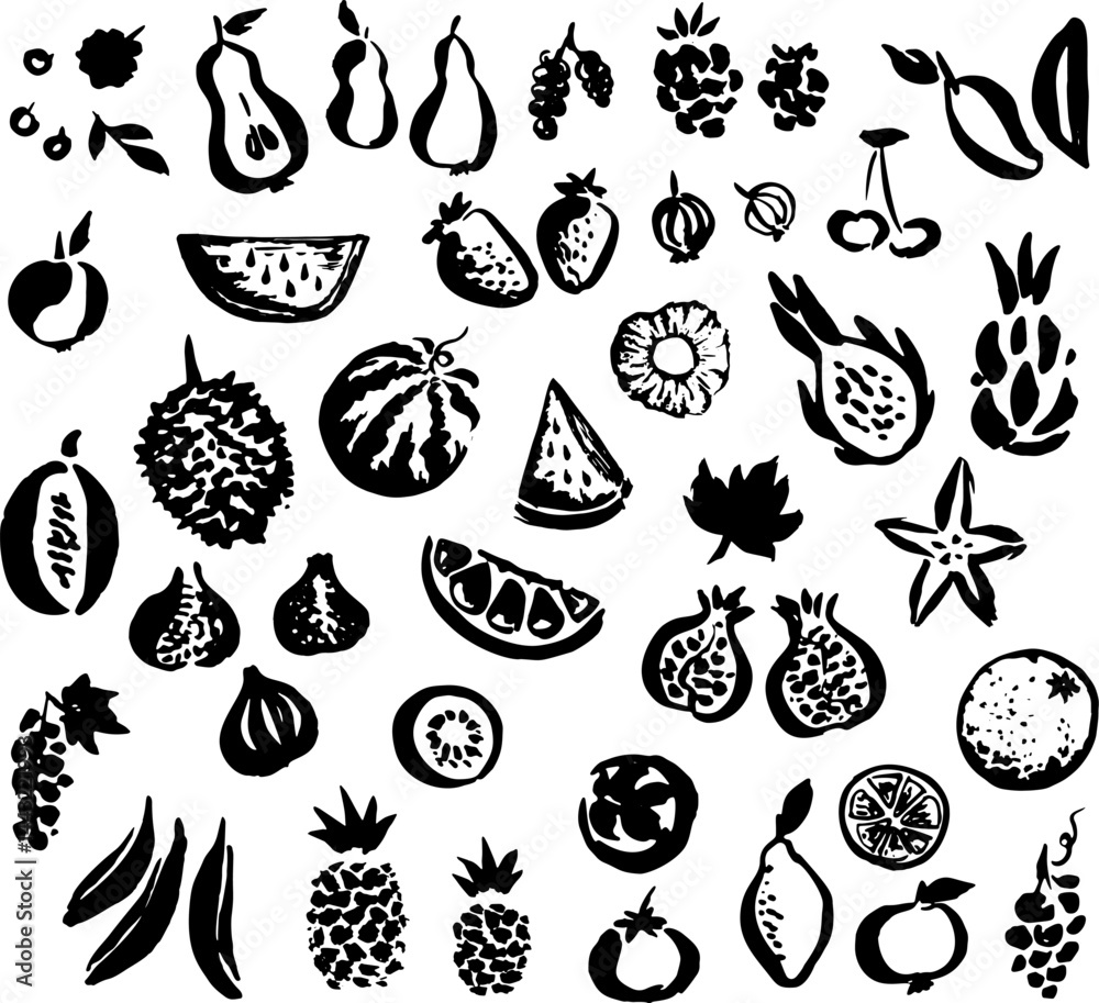 Fototapeta premium Fruits collection. Hand drawn vector. Isolated design elements.