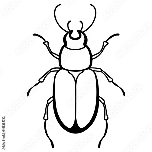 Simple Dung Beetle Line Art Illustration