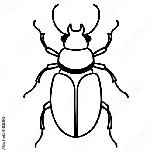 Simple Dung Beetle Line Art Illustration