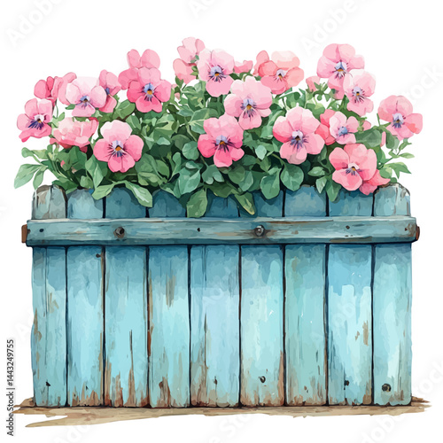 watercolor of Sweet Pea Clinging To A Vintage Fence, vector, isolated on a white background.