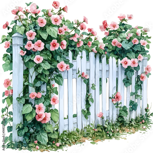 Sweet Pea Clinging To A Vintage Fence, watercolor vector, isolated on a white background.