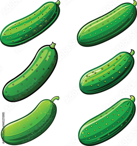 Realistic Cucumber Illustration Collection