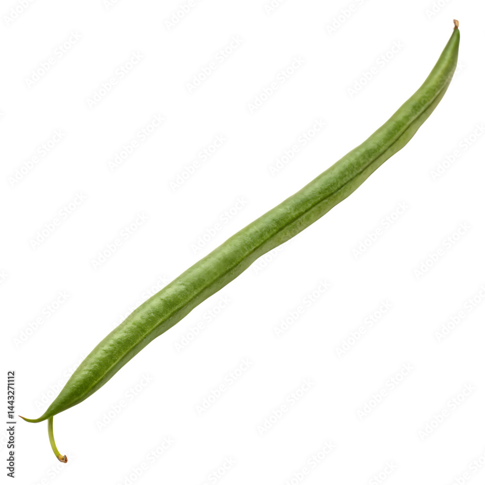 Whole single serving of fresh haricots verts isolated on a transparent background