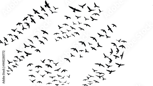 Flying Birds Silhouette PNG | Black Bird Flock Clipart | Minimal Vector Bird Overlay for Tattoos, Wall Art & Digital Design on transparent background .