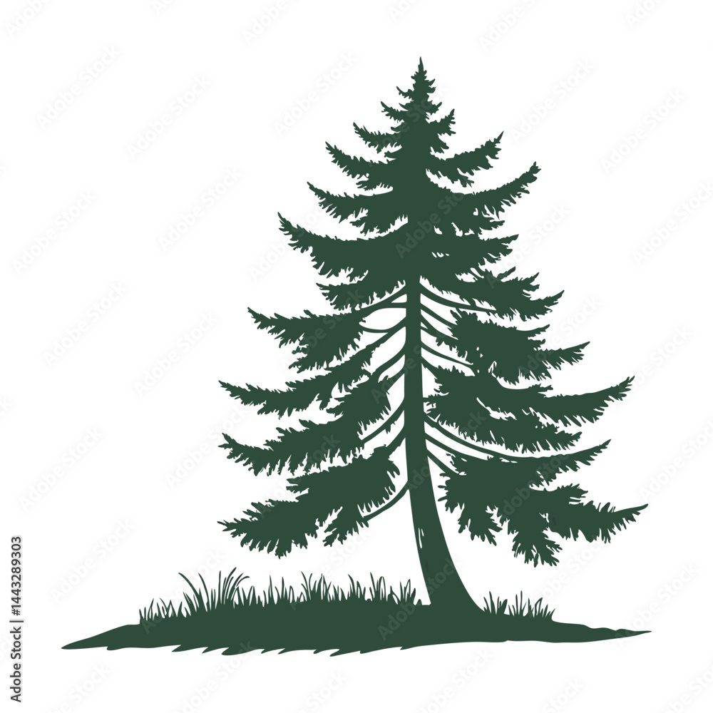 Fototapeta premium A simple, symmetrical of a tall evergreen pine tree with layered branches, dark green color, isolated on a clean and minimalistic flat vector style