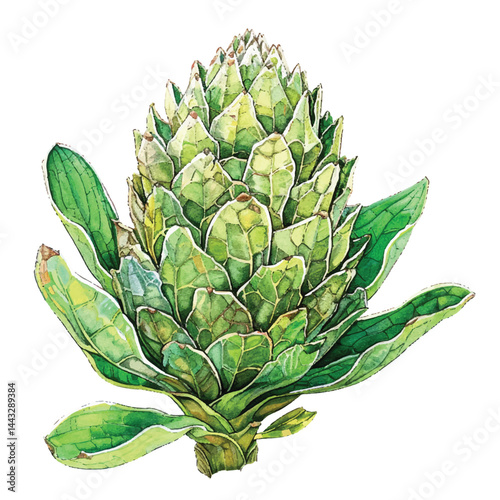 a highly detailed hand-drawn