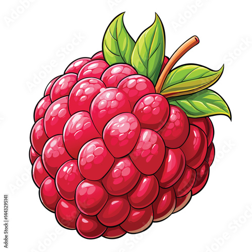 Vibrant raspberry illustration